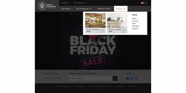 海外嬰幼兒用品網(wǎng)站的設(shè)計與代理服務(wù)